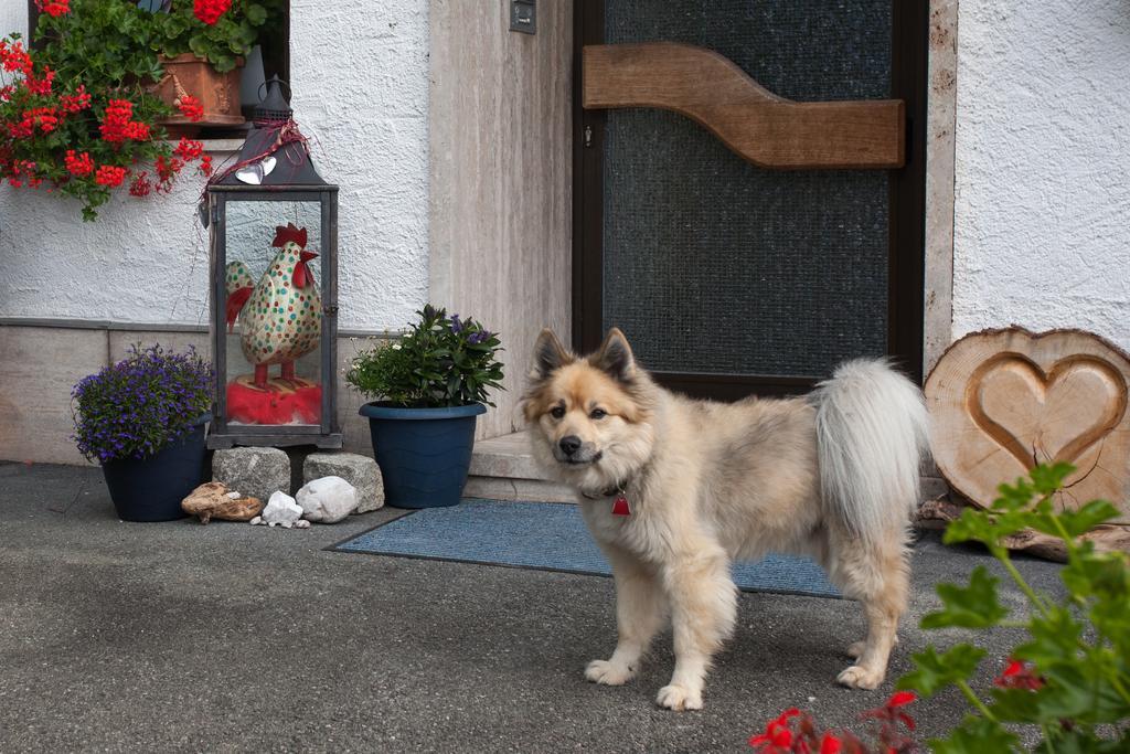 Bed & Breakfast Gaestehaus Edlhuber Mittenwald